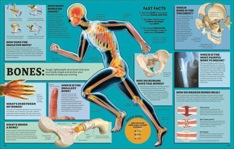 1,000 Curious Questions US - Hardback