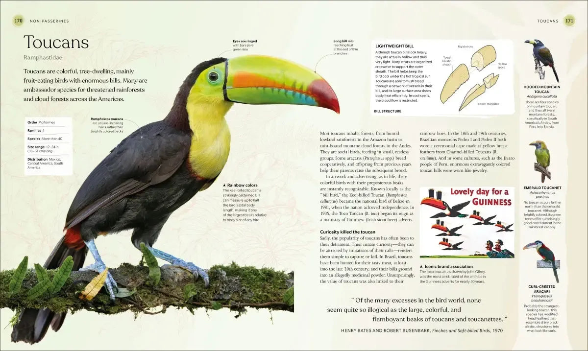 The Bird Book US - Hardback