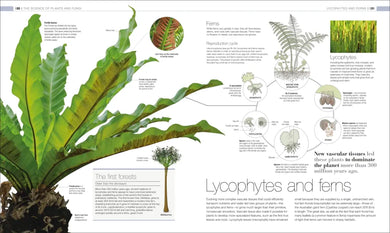 Plants and Fungi US - Hardback