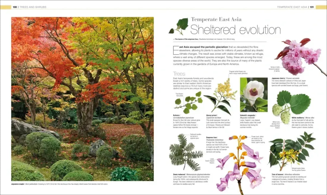 Plants and Fungi US - Hardback