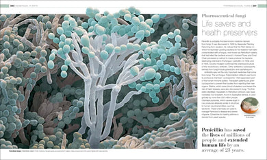 Plants and Fungi US - Hardback