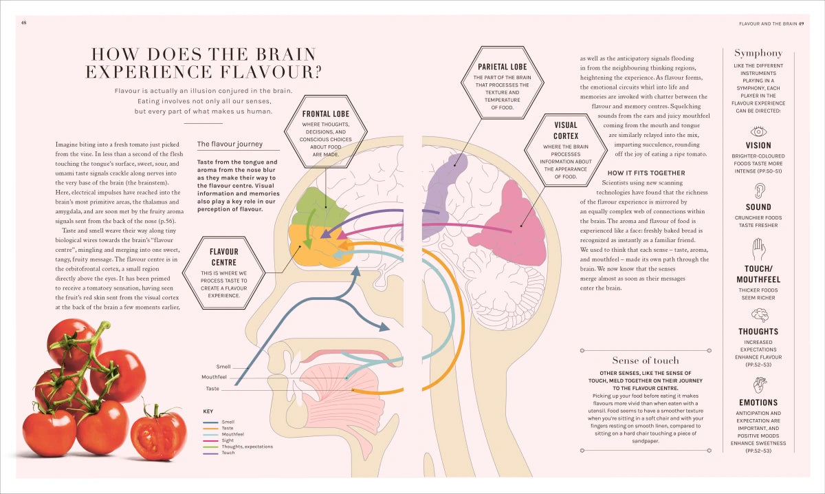 The Science of Flavor US - Hardback