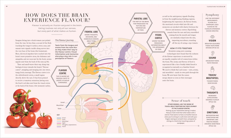 The Science of Flavor US - Hardback