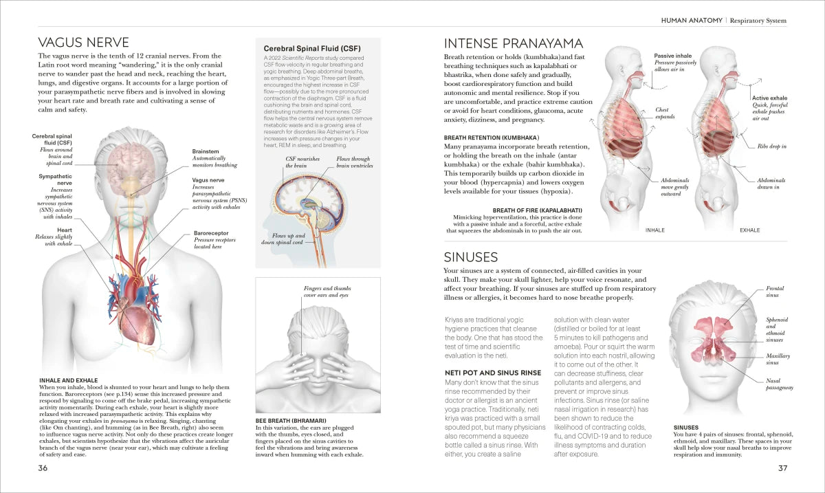 Science of Yoga US - Paperback / softback