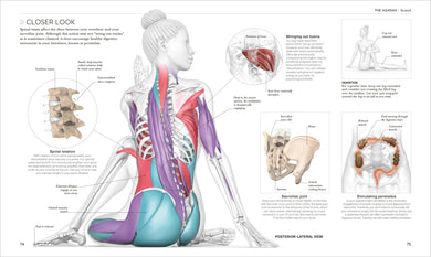 Science of Yoga US - Paperback / softback