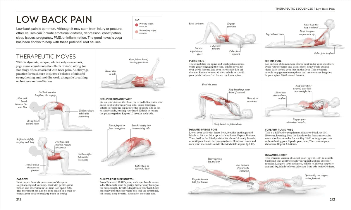 Science of Yoga US - Paperback / softback