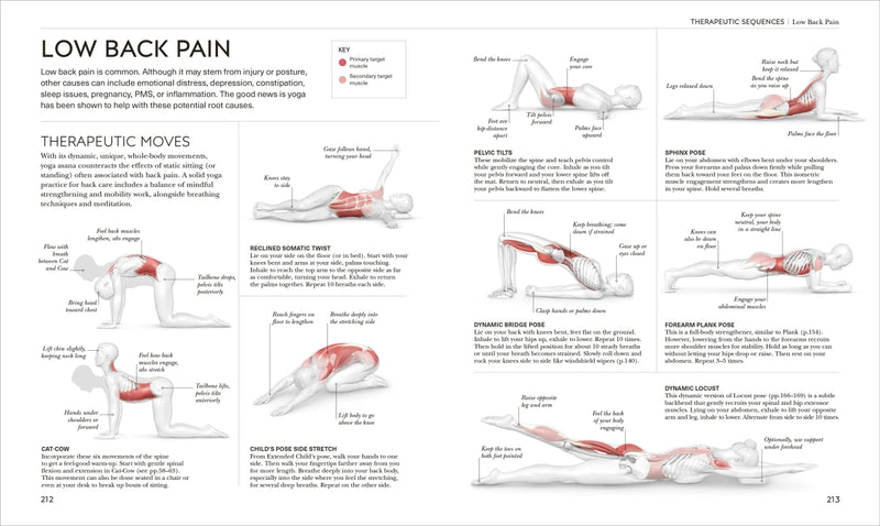 Science of Yoga US - Paperback / softback