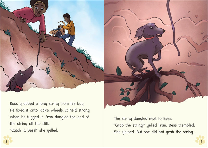 Phonic Books Pet Sitters US - Multiple-component retail product, boxed