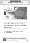 Phonic Books Pet Sitters Activities US - Paperback / softback