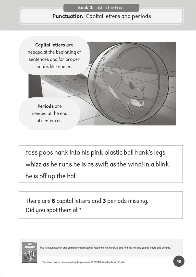 Phonic Books Pet Sitters Activities US - Paperback / softback