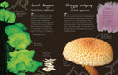 An Anthology of Fungi US - Hardback