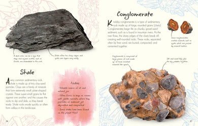 An Anthology of Rocks and Minerals US - Hardback
