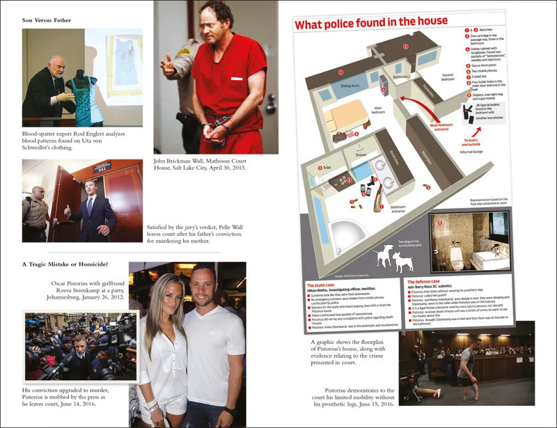 On Trial for Murder US - Paperback / softback