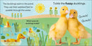Touch and Feel Farm US - Board book