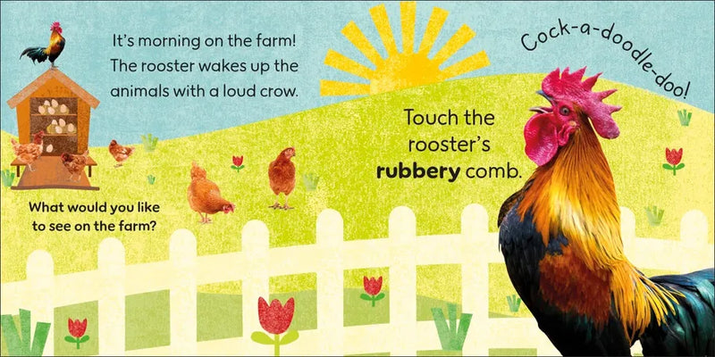 Touch and Feel Farm US - Board book