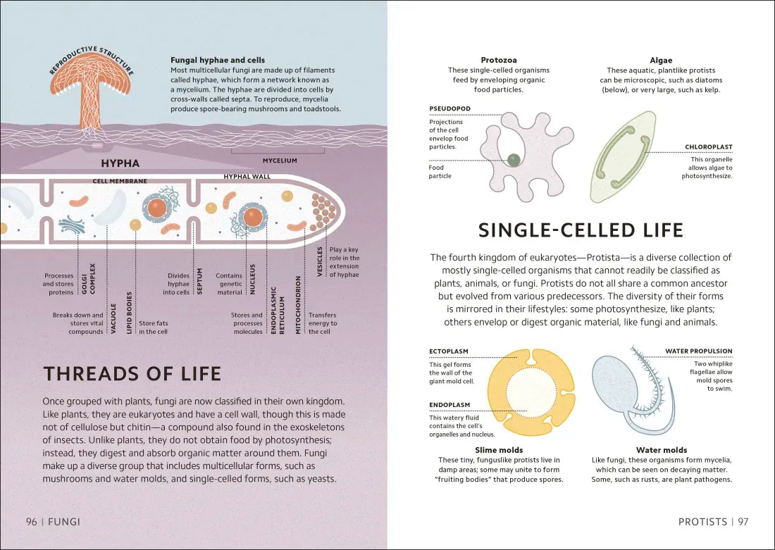 Simply Science US - Hardback