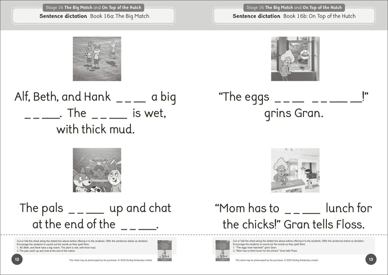 Phonic Books Dandelion Launchers Extras Stages 16-20 Reading and Writing Activities US - Paperback / softback