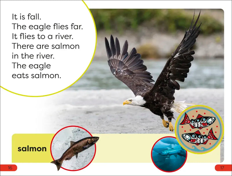 DK Super Readers Pre-level An Eagle's Tale US - Paperback / softback