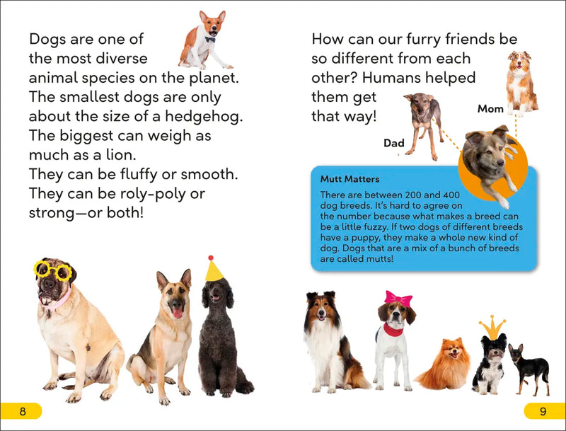 DK Super Readers Level 2 Dog Dude US - Paperback / softback