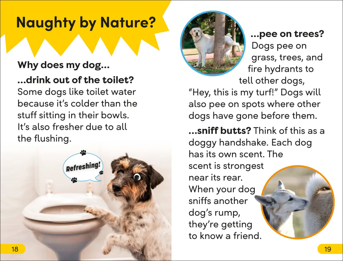 DK Super Readers Level 2 Dog Dude US - Paperback / softback