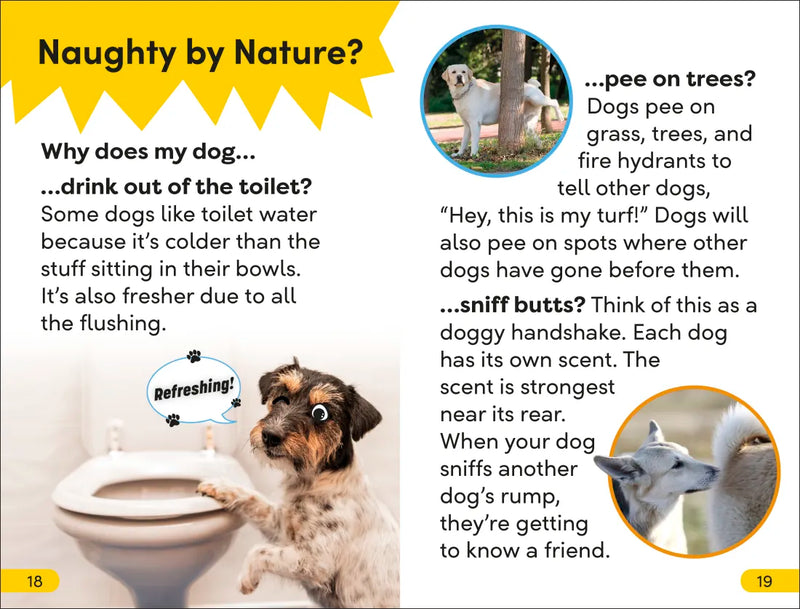 DK Super Readers Level 2 Dog Dude US - Hardback