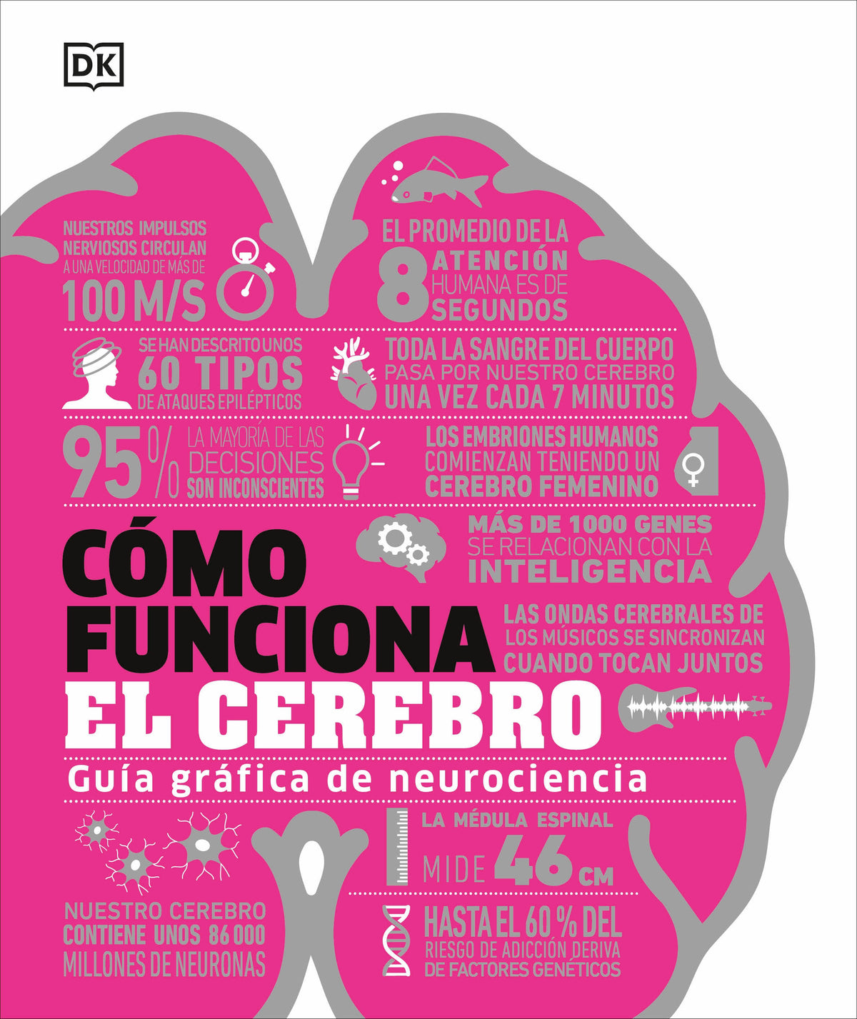 Cómo funciona el cerebro (How the Brain Works) cover (ISBN 9780593847930)
