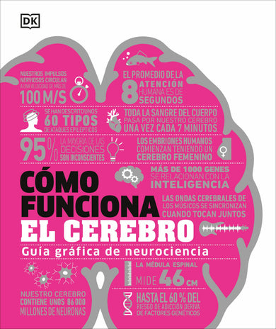 Cómo funciona el cerebro (How the Brain Works) cover (ISBN 9780593847930)