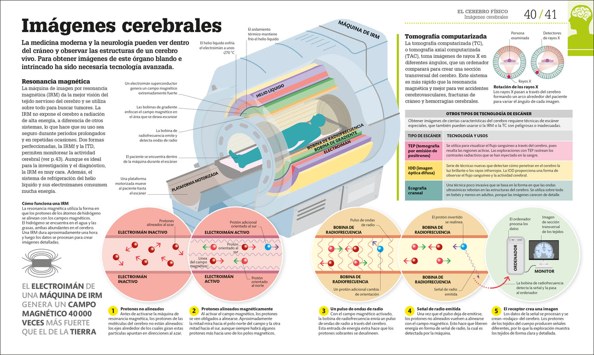 Cómo funciona el cerebro (How the Brain Works) interior 3 (ISBN 9780593847930)