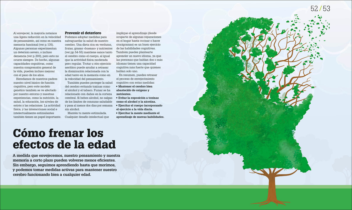 Cómo funciona el cerebro (How the Brain Works) interior 4 (ISBN 9780593847930)