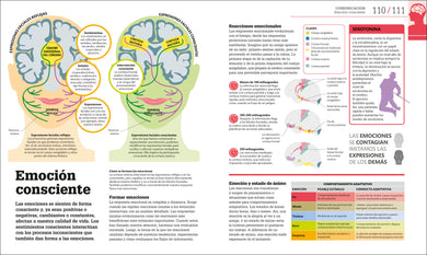 Cómo funciona el cerebro (How the Brain Works) interior 5 (ISBN 9780593847930)