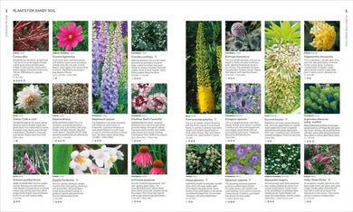 Encyclopedia of Garden Plants for Every Location US - Hardback