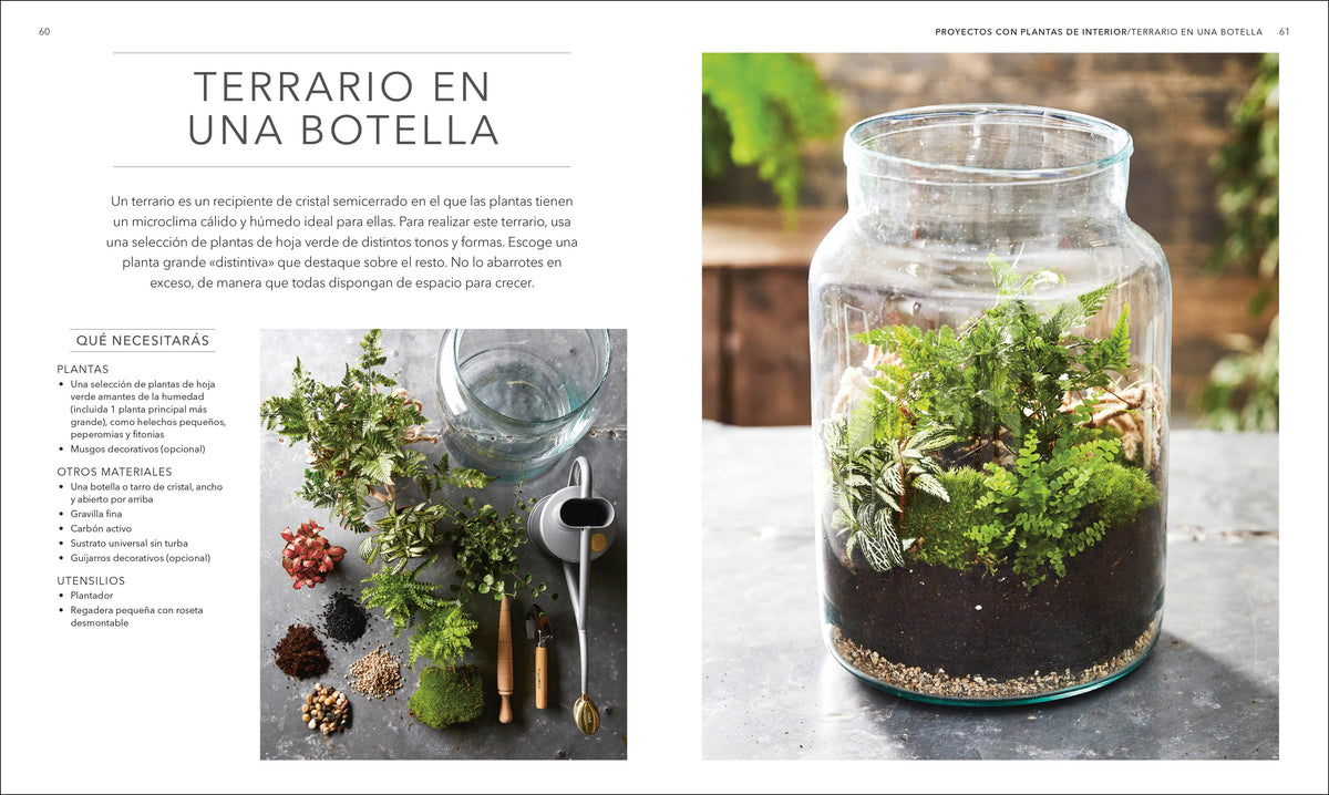 Plantas de interior (Houseplant) interior 1 (ISBN 9780593848036)