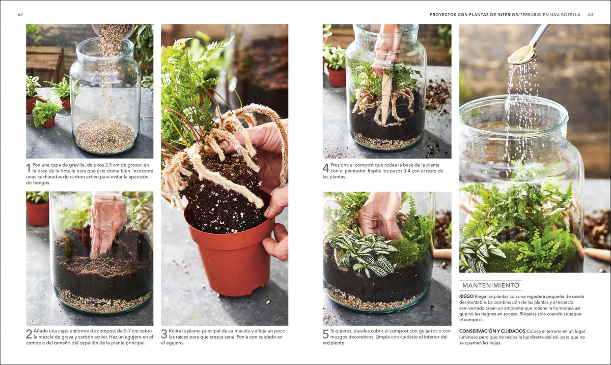 Plantas de interior (Houseplant) interior 2 (ISBN 9780593848036)