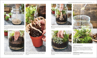 Plantas de interior (Houseplant) interior 2 (ISBN 9780593848036)