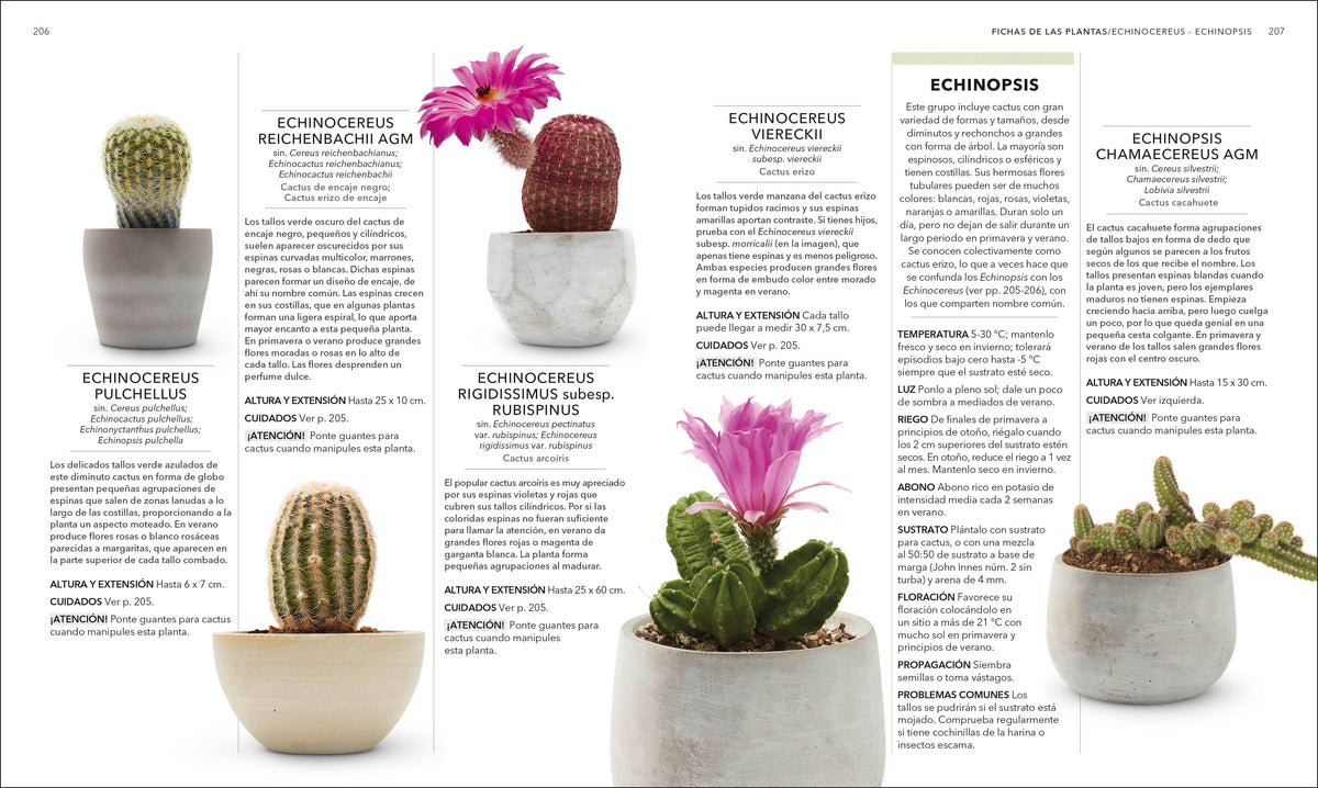 Plantas de interior (Houseplant) interior 4 (ISBN 9780593848036)