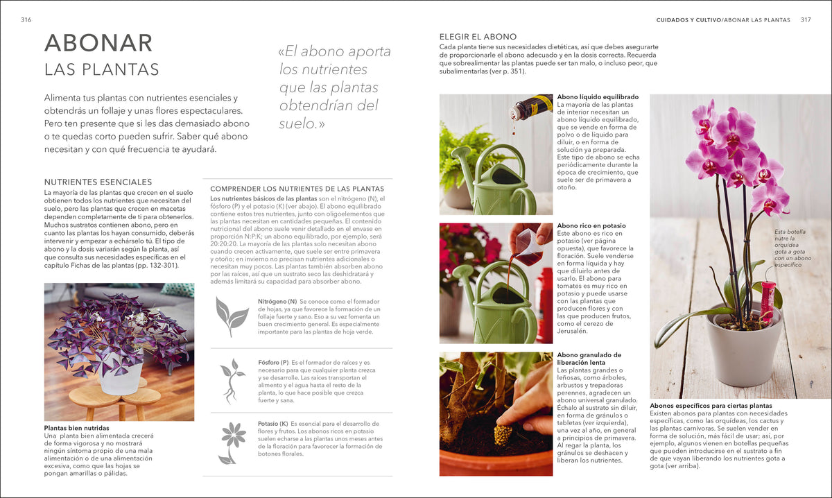 Plantas de interior (Houseplant) interior 5 (ISBN 9780593848036)