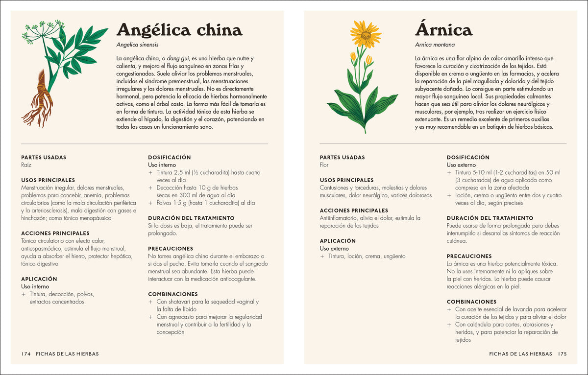 Plantas medicinales (The Home Herbal) interior 2 (ISBN 9780593848043)