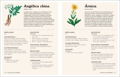Plantas medicinales (The Home Herbal) interior 2 (ISBN 9780593848043)