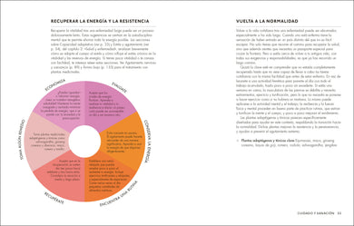 Plantas medicinales (The Home Herbal) interior 4 (ISBN 9780593848043)