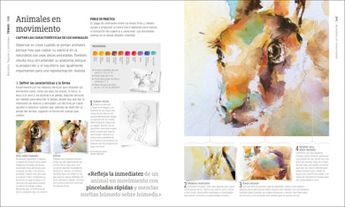 Acuarela (Artist's Watercolor Techniques) interior 4 (ISBN 9780593848050)