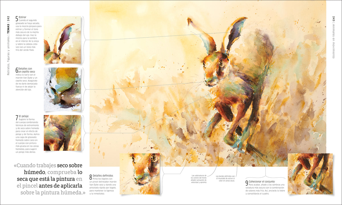 Acuarela (Artist's Watercolor Techniques) interior 5 (ISBN 9780593848050)
