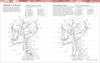 Atlas de anatomía para colorear (The Human Body Coloring Book) interior 5 (ISBN 9780593848098)