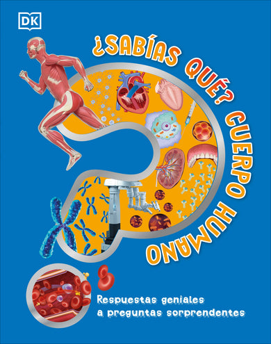 ¿Sabías qué? Cuerpo humano (Did You Know? Human Body) cover (ISBN 9780593848142)