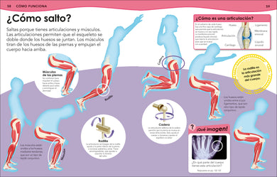 ¿Sabías qué? Cuerpo humano (Did You Know? Human Body) interior 2 (ISBN 9780593848142)