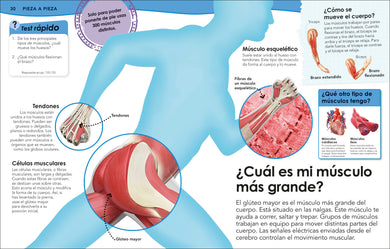 ¿Sabías qué? Cuerpo humano (Did You Know? Human Body) interior 4 (ISBN 9780593848142)