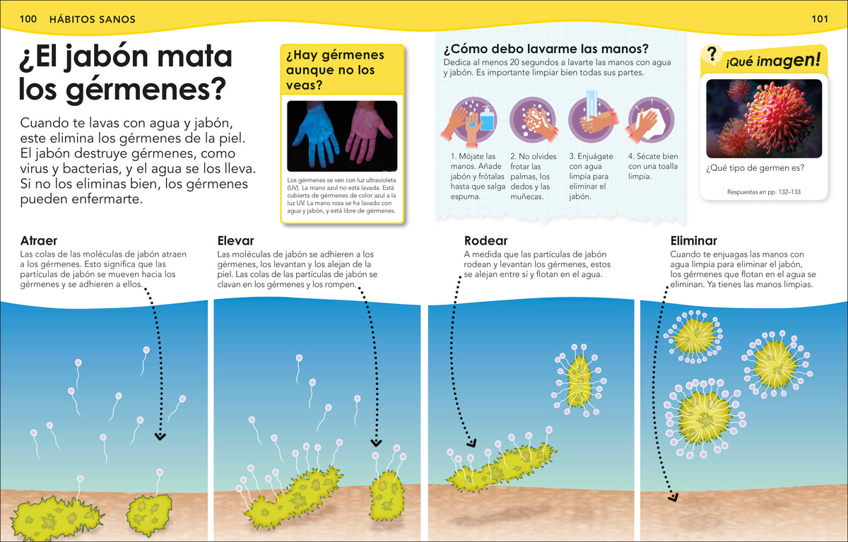 ¿Sabías qué? Cuerpo humano (Did You Know? Human Body) interior 5 (ISBN 9780593848142)