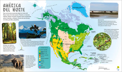 Mi primer atlas de animales (Children's Illustrated Animal Atlas) interior 1 (ISBN 9780593848166)