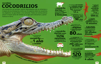 El mundo en números: Animales (Our World in Numbers Animals) interior 2 (ISBN 9780593848173)