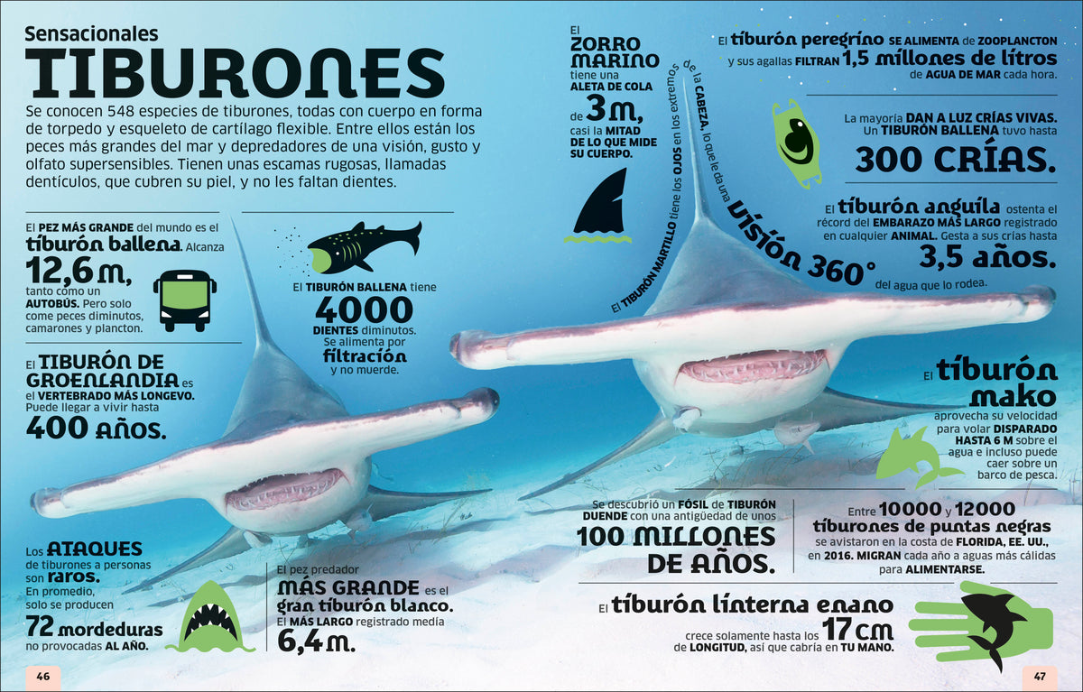 El mundo en números: Animales (Our World in Numbers Animals) interior 3 (ISBN 9780593848173)