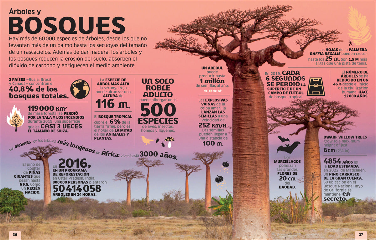 El mundo en números (Our World in Numbers) interior 1 (ISBN 9780593848180)